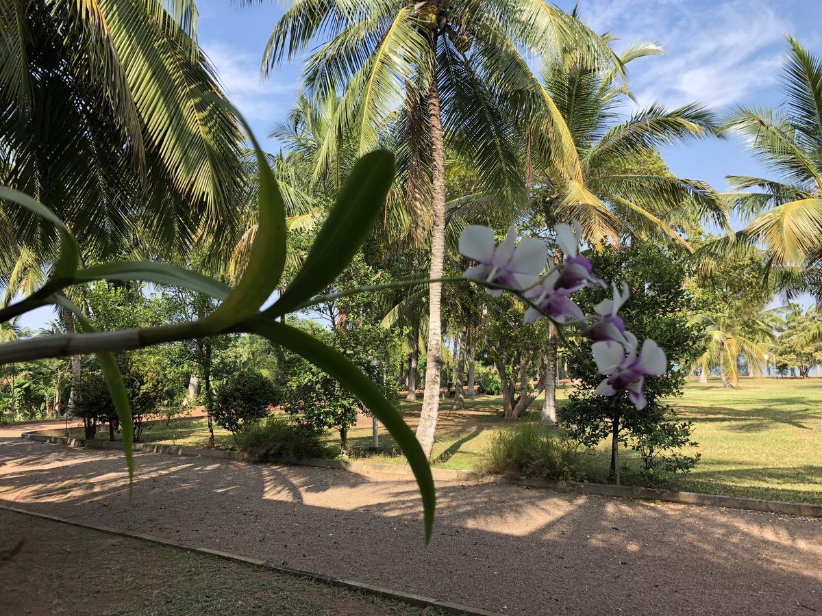 Hotel Lagoon Paradise Negombo Bagian luar foto