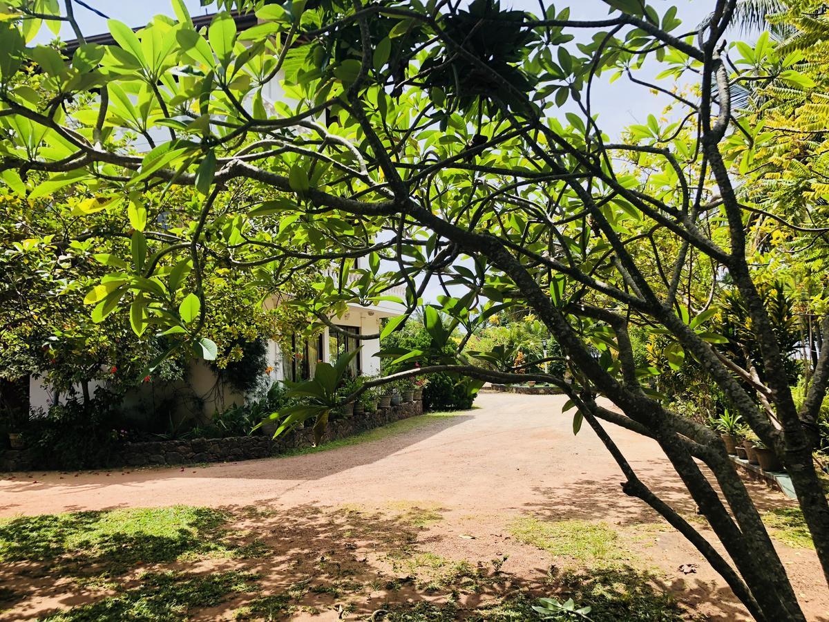 Hotel Lagoon Paradise Negombo Bagian luar foto